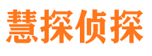 兴海市私家侦探